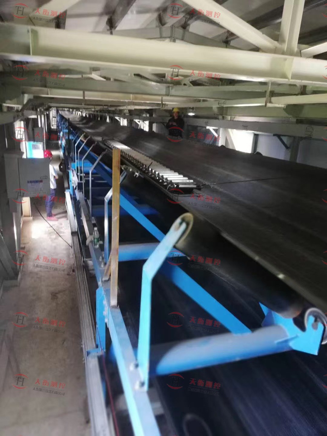 成都電廠抖音TIKTOK色板免费网站IOS及藏箱式鏈碼現場